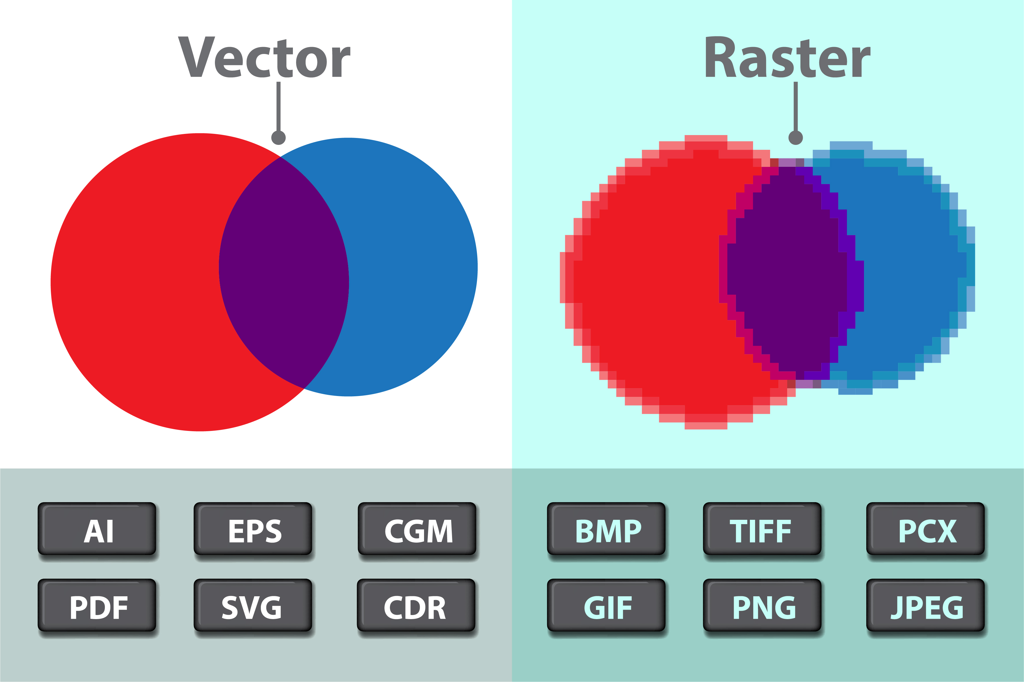 rastervsvector